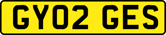 GY02GES