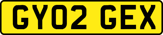 GY02GEX