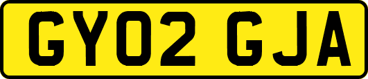 GY02GJA