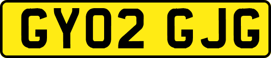 GY02GJG