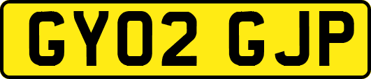 GY02GJP