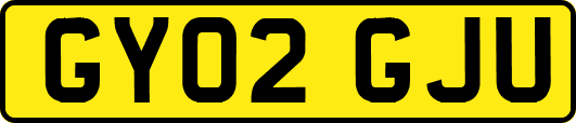 GY02GJU