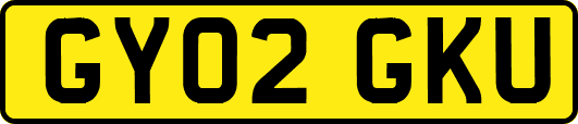 GY02GKU