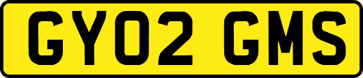 GY02GMS