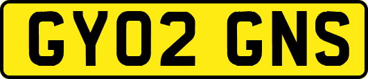 GY02GNS