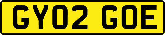 GY02GOE