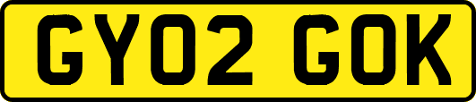 GY02GOK