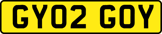GY02GOY