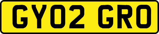 GY02GRO