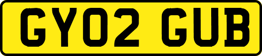 GY02GUB