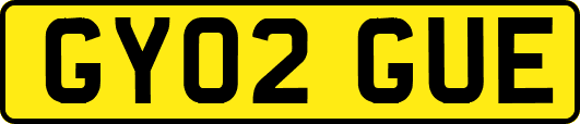 GY02GUE