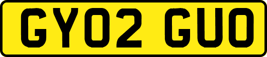 GY02GUO