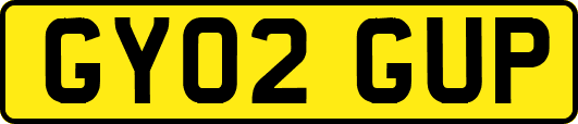 GY02GUP