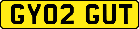 GY02GUT