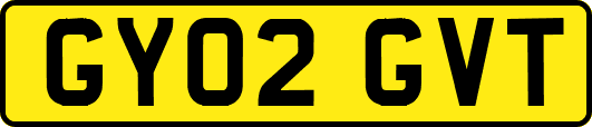 GY02GVT