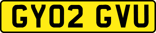 GY02GVU