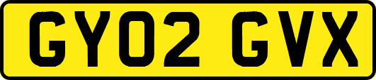 GY02GVX