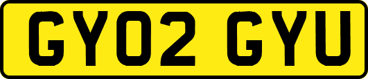 GY02GYU