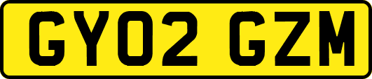 GY02GZM