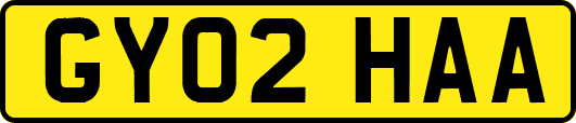 GY02HAA