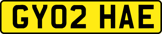 GY02HAE