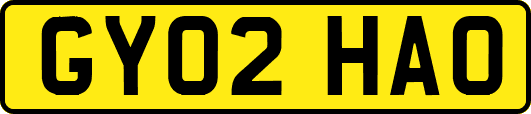 GY02HAO