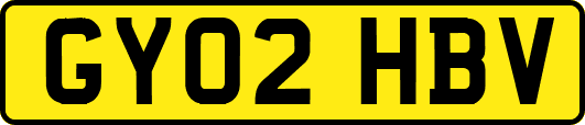 GY02HBV
