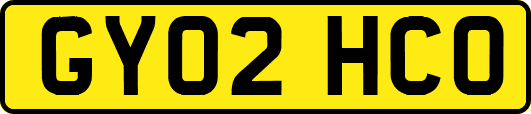 GY02HCO