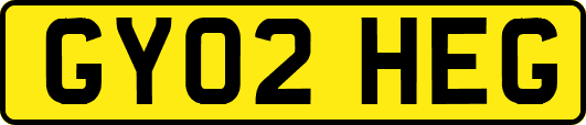 GY02HEG
