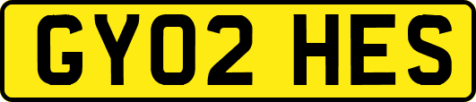 GY02HES