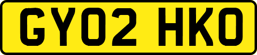 GY02HKO
