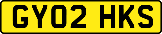 GY02HKS