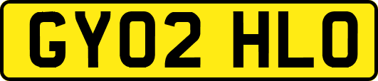 GY02HLO