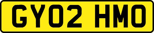 GY02HMO