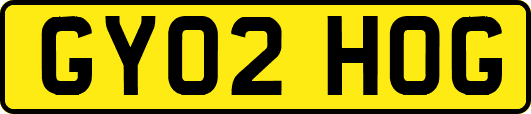 GY02HOG