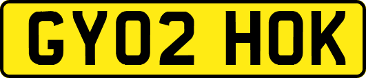 GY02HOK