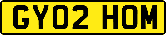 GY02HOM