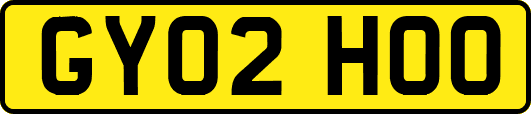 GY02HOO