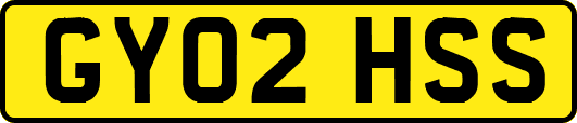 GY02HSS