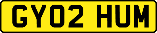 GY02HUM