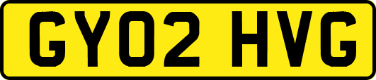 GY02HVG