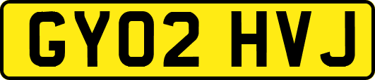 GY02HVJ