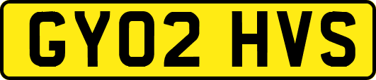 GY02HVS