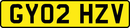 GY02HZV