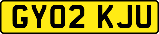 GY02KJU