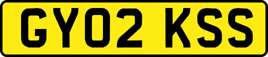 GY02KSS