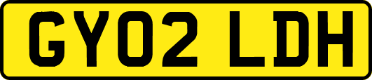 GY02LDH