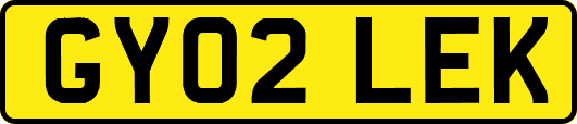 GY02LEK