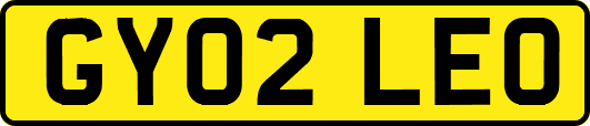 GY02LEO