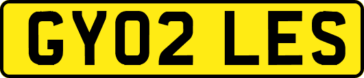 GY02LES
